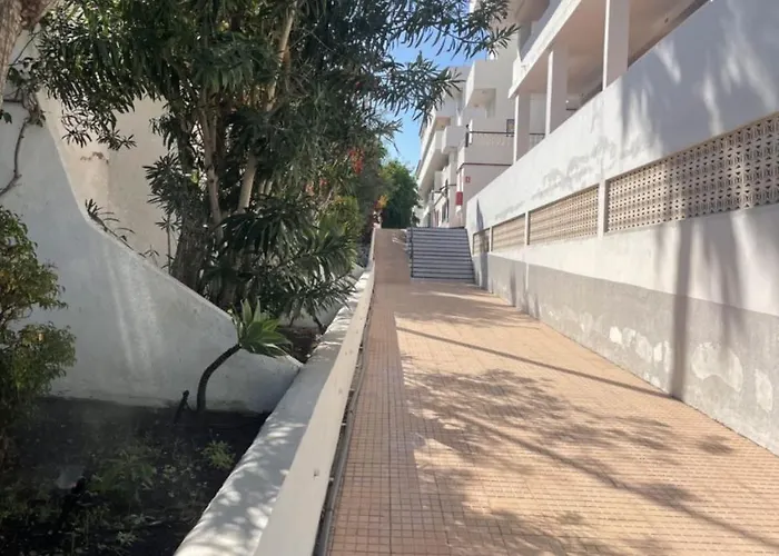 Olimpus Leasure * アデヘ