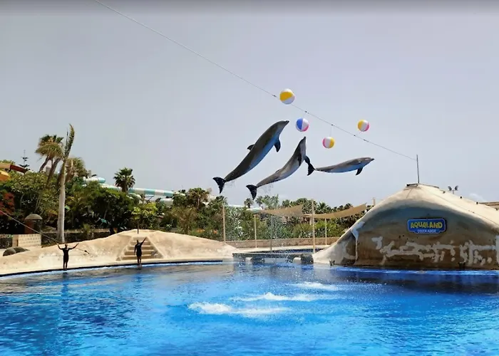 Olimpus Leasure * アデヘ